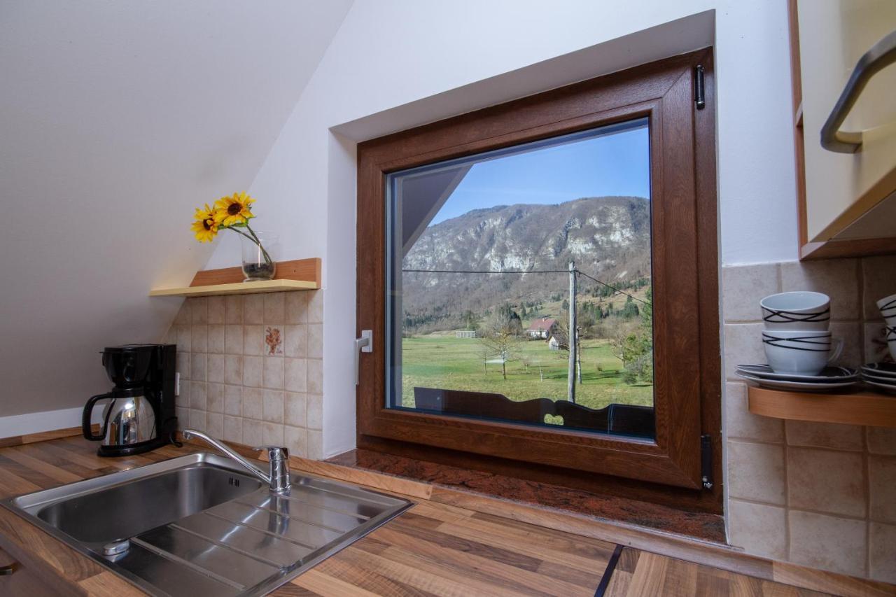 Apartment Jezero Bohinj